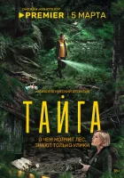 Тайга смотреть онлайн сериал 1 сезон